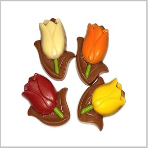 Tulp_met_rand