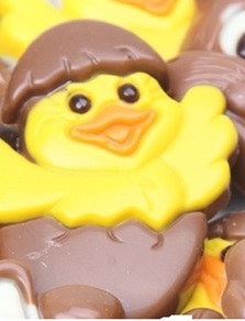 3929_kuiken_uit_ei_geel_melk